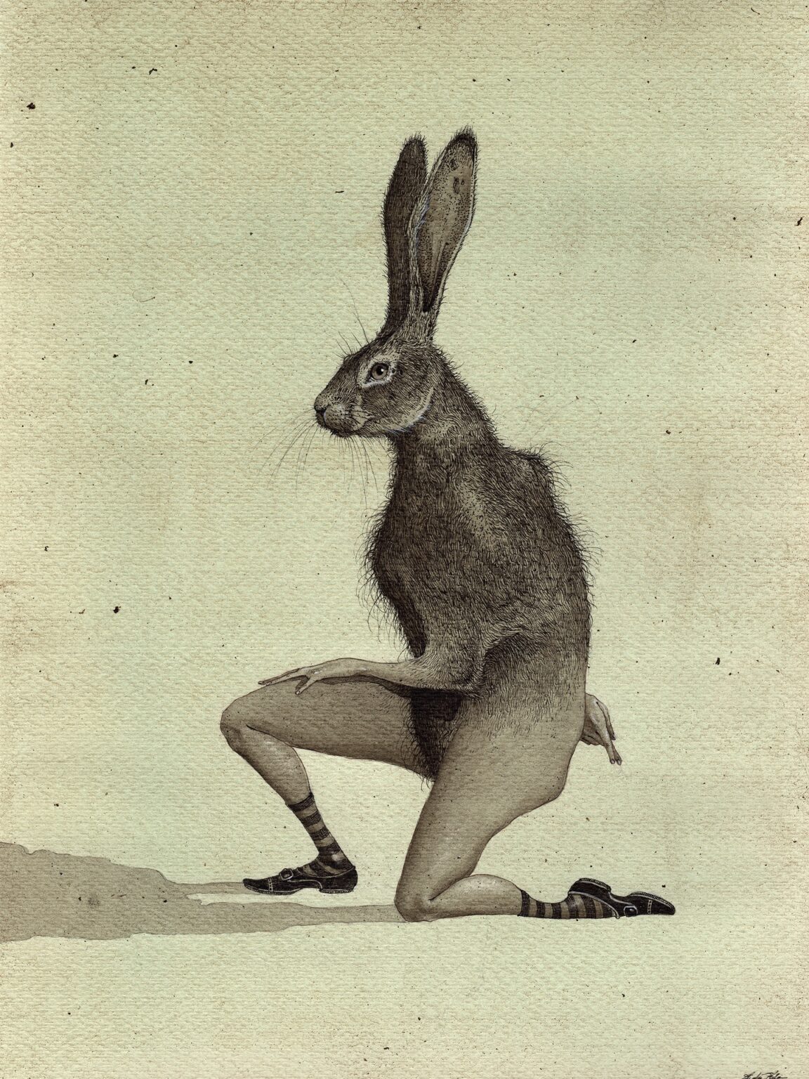 The Enchanting and Bizarre Animal Worlds in Drawings of Rustlehare ...