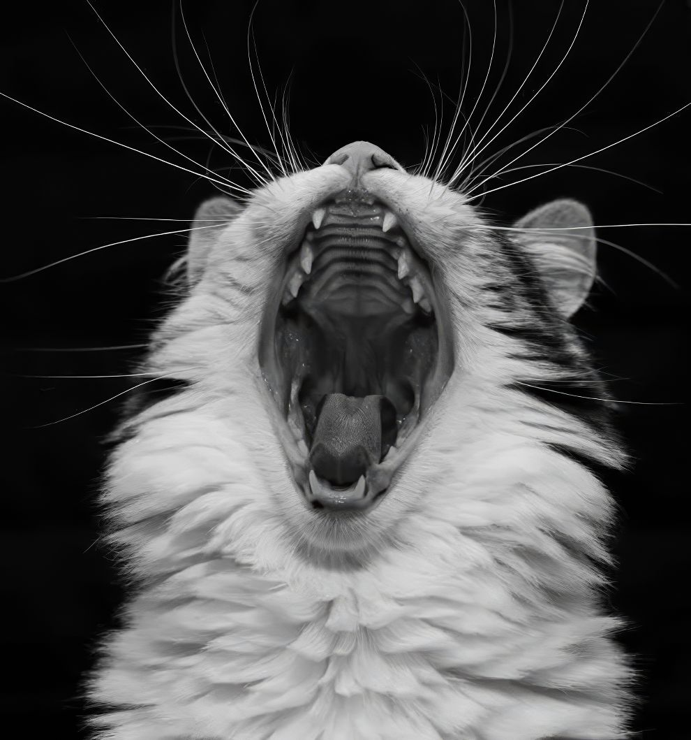 صور فائزة مذهلة من مسابقة «مصوّر العام 2025» لدى لندن كاميرا إكستشينج — ديزاين يو تراست: مدونة تصميم يومية منذ 2007