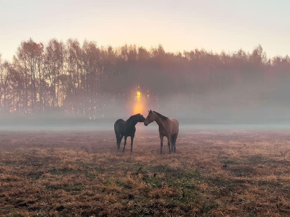 صور مناظر طبيعية وحياة برية مبهرة، حائزة على جوائز من مسابقة التصوير عبر الهواتف المحمولة
التصميم الذي تثق به — تصاميم يومية منذ ٢٠٠٧