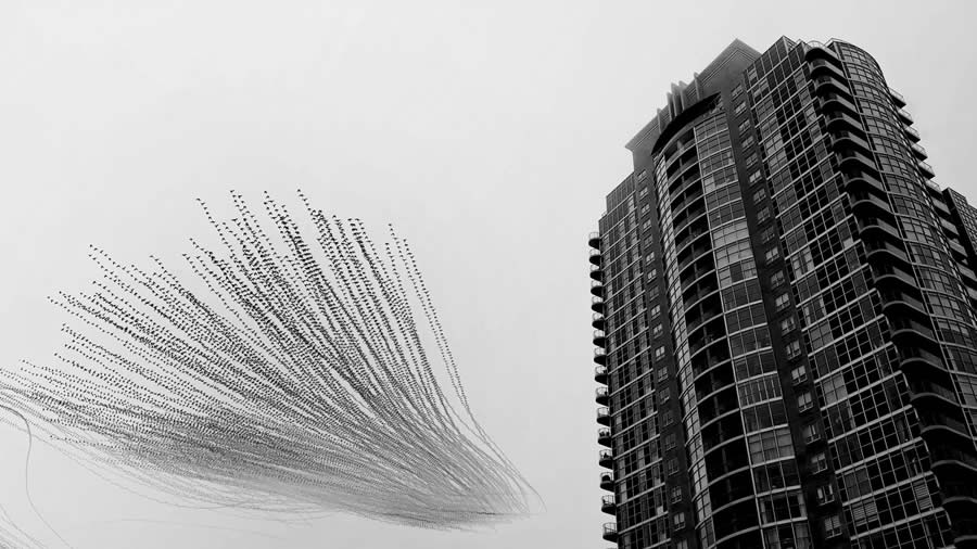 أجمل الصور الفائزة في جوائز «نيتشر إن فوكس» للتصوير ٢٠٢٥
ديزاين يو تراست — مصدر التصميم اليومي منذ ٢٠٠٧