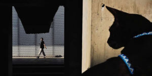 Inspiring Street Winning Photos From The Independent Photographer Awards 2025