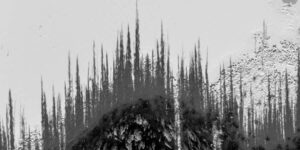 Beautiful Winners from the 2024 Canadian Photos of the Year Competition