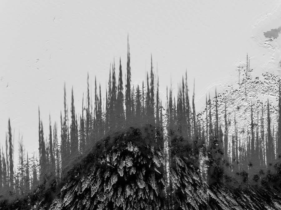 أجمل الفائزين
في مسابقة صور العام الكندية ٢٠٢٤

تصميم تثق به — تصميم يومي منذ ٢٠٠٧