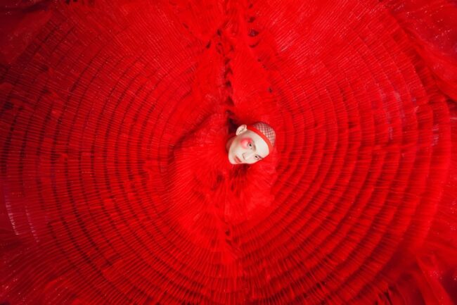 Enchanting Winners from the 2025 Chromatic Awards That Celebrate the Power of Color