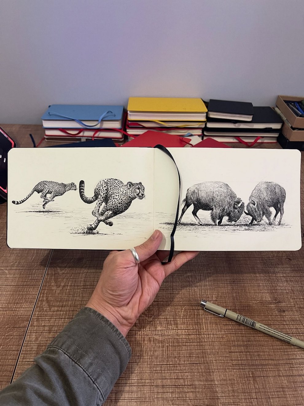 فنان يحوّل أقلام فاينلاينر البسيطة
إلى غاباتٍ، وأسقفٍ، وقططٍ عملاقة —
إثباتٌ على مدى ما يمكن للخطوطِ الخالصةِ أن تبلغه
دون قطرةِ لونٍ