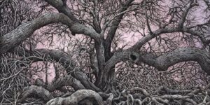 Illustrator Draws Monumental Tree‑scapes On Transparent Dura‑Lar, Braid­ing Roots, Rocks And Memory Into Delicate, Sci‑fi‑tinged Forest Architectures