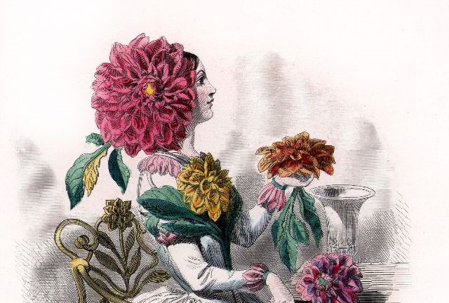 جان-جاك غرانفيل
سيد السخرية التجسيمية
منصة «تصميم تثق به» — التصميم اليومي منذ 2007