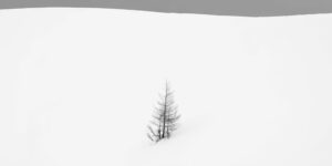 Beautiful Landscape Winning Photos from the 2025 Minimalist Photography Awards