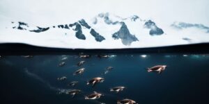 Beautiful Entries from the Sony World Photography Awards 2026 Open Competition