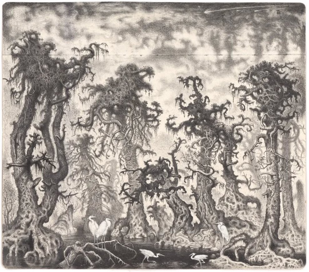 غابات ضبابية فاتنة وأشجار مكسورة في طراز الأساتذة القدامى
مارتن فوخت — منصة تصميم موثوقة · محتوى يومي منذ 2007