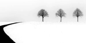 Spectacular Monochrome Winners from the Irys Photos Black & White Photography Contest