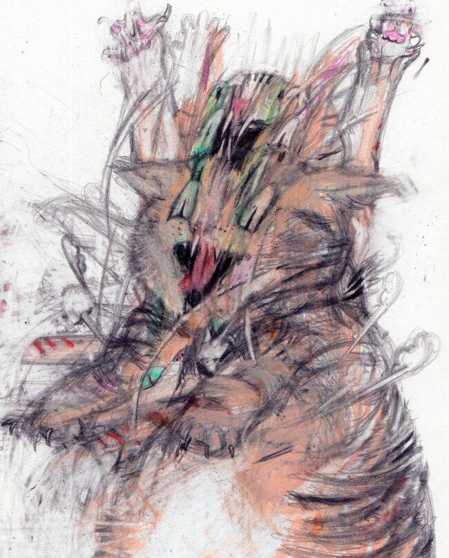 Amazing Pencil And Charcoal Drawings Capturing The Expressive Souls Of Cats And Birds