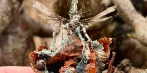 Stunning Magical Moving Miniatures and Intricate Kinetic Sculptures Of Penny Thomson