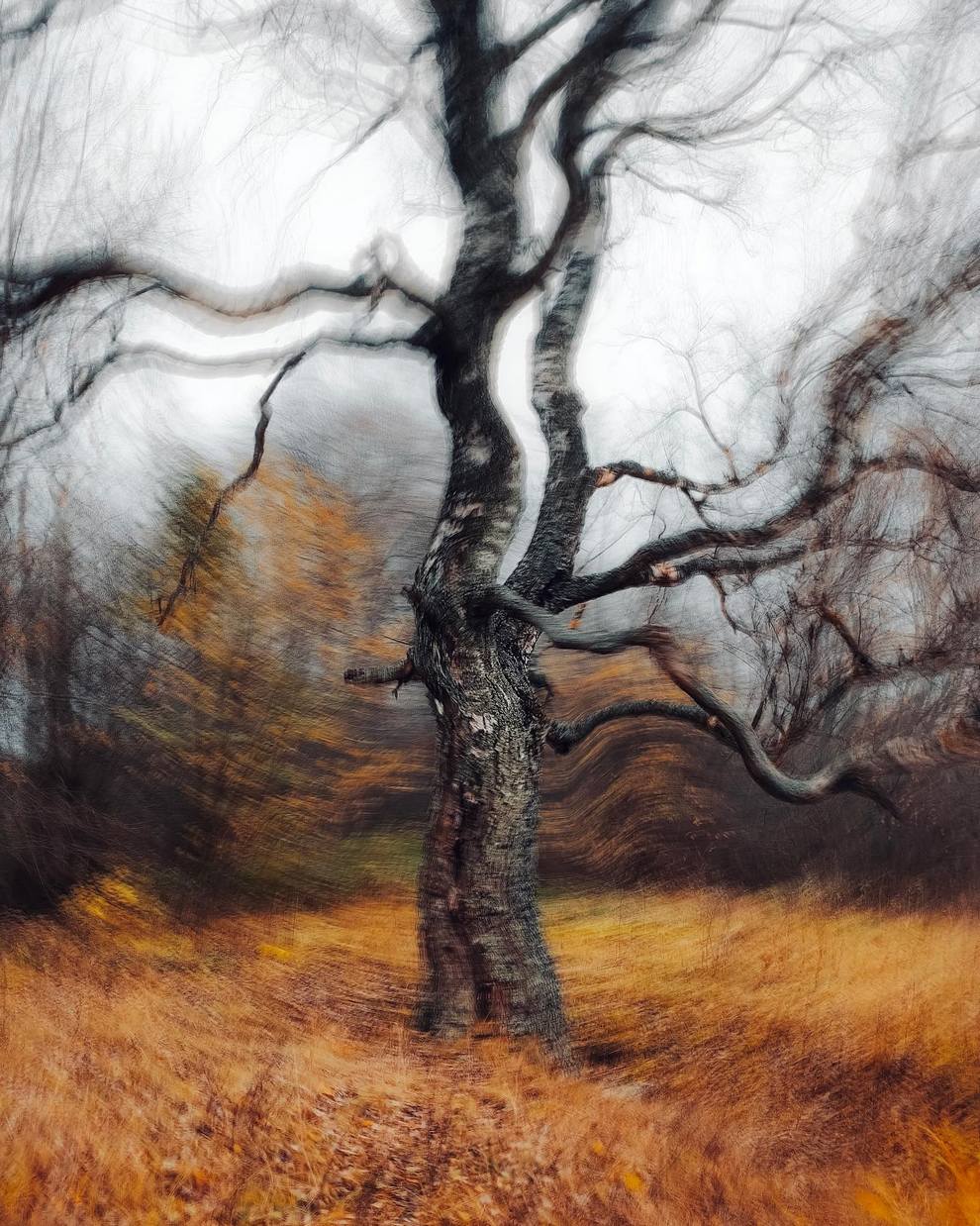 التصوير الطبيعي التجريبي: رؤى يوجين غولوفيسوف
تصميم تثق به — تصاميم يومية منذ عام ٢٠٠٧