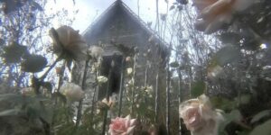 Artist Liminal Bloom Builds A Private World Of Soft Mysticism, Faith, And Dreamlike Thresholds