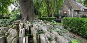 The Secret of a London Churchyard: How Thomas Hardy and a Stray Ash Tree Created a Legend