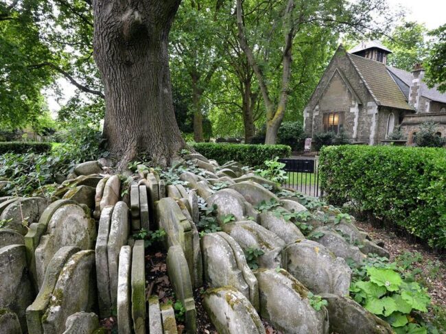 The Secret of a London Churchyard: How Thomas Hardy and a Stray Ash Tree Created a Legend