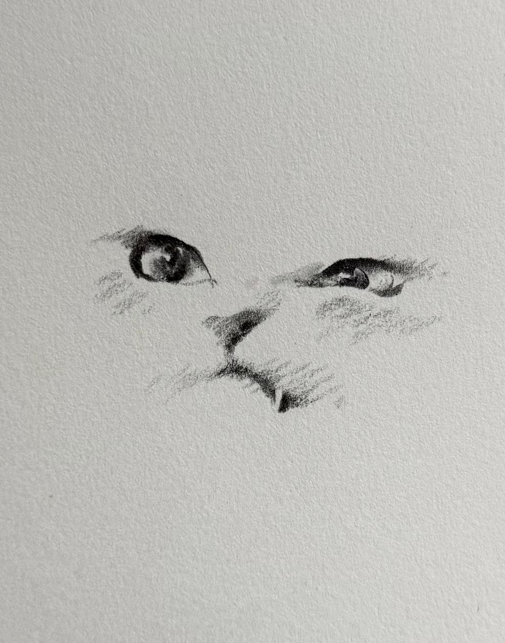 فنان صيني يرسم بخطوطٍ بسيطة تجسّد شخصية الحيوانات بدقّة
تصميم تثق به — تصاميم يومية منذ ٢٠٠٧